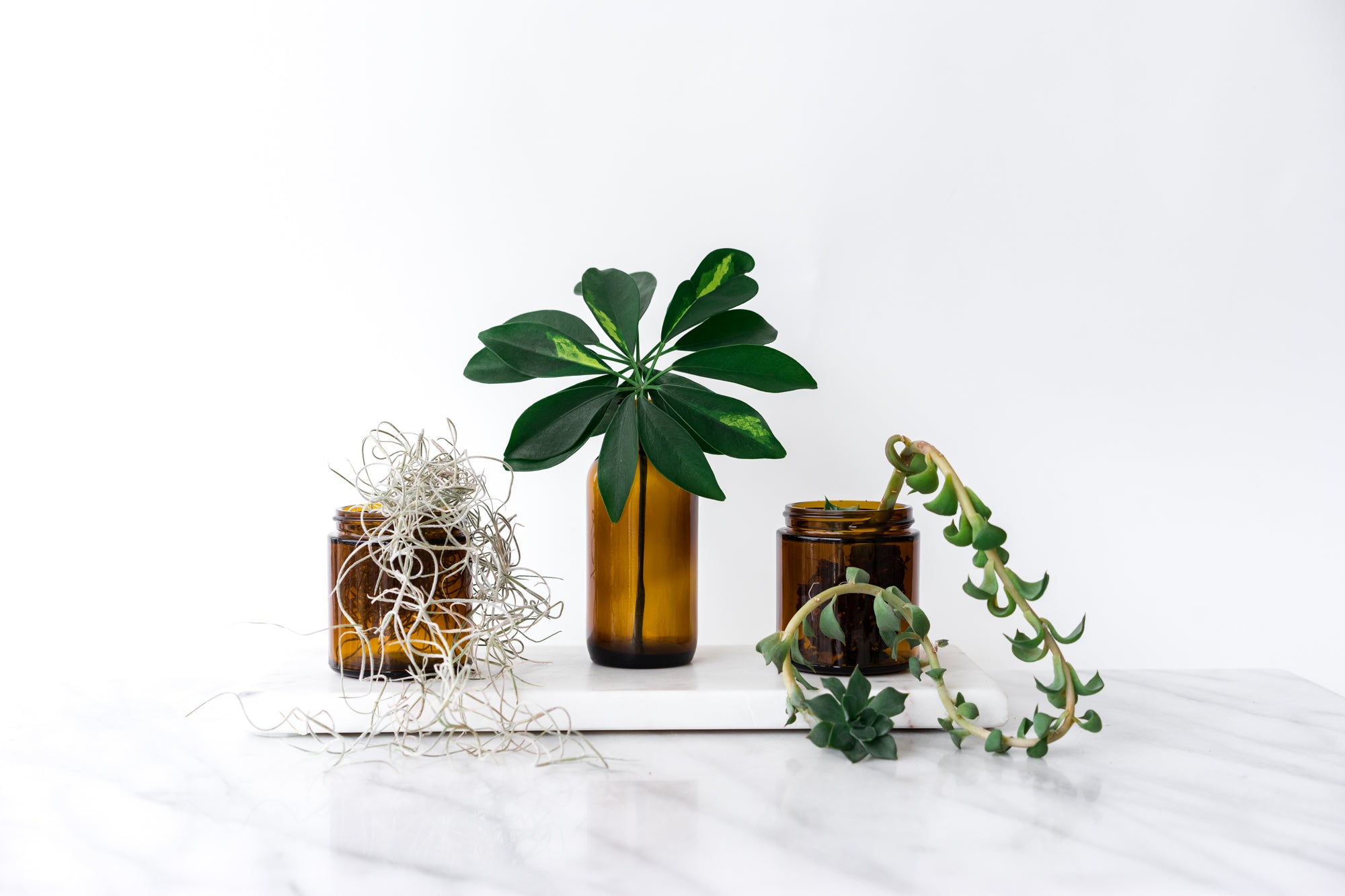 Green Beauty Packaging - 6 Ways To Reuse Your Pura Bottles & Jars