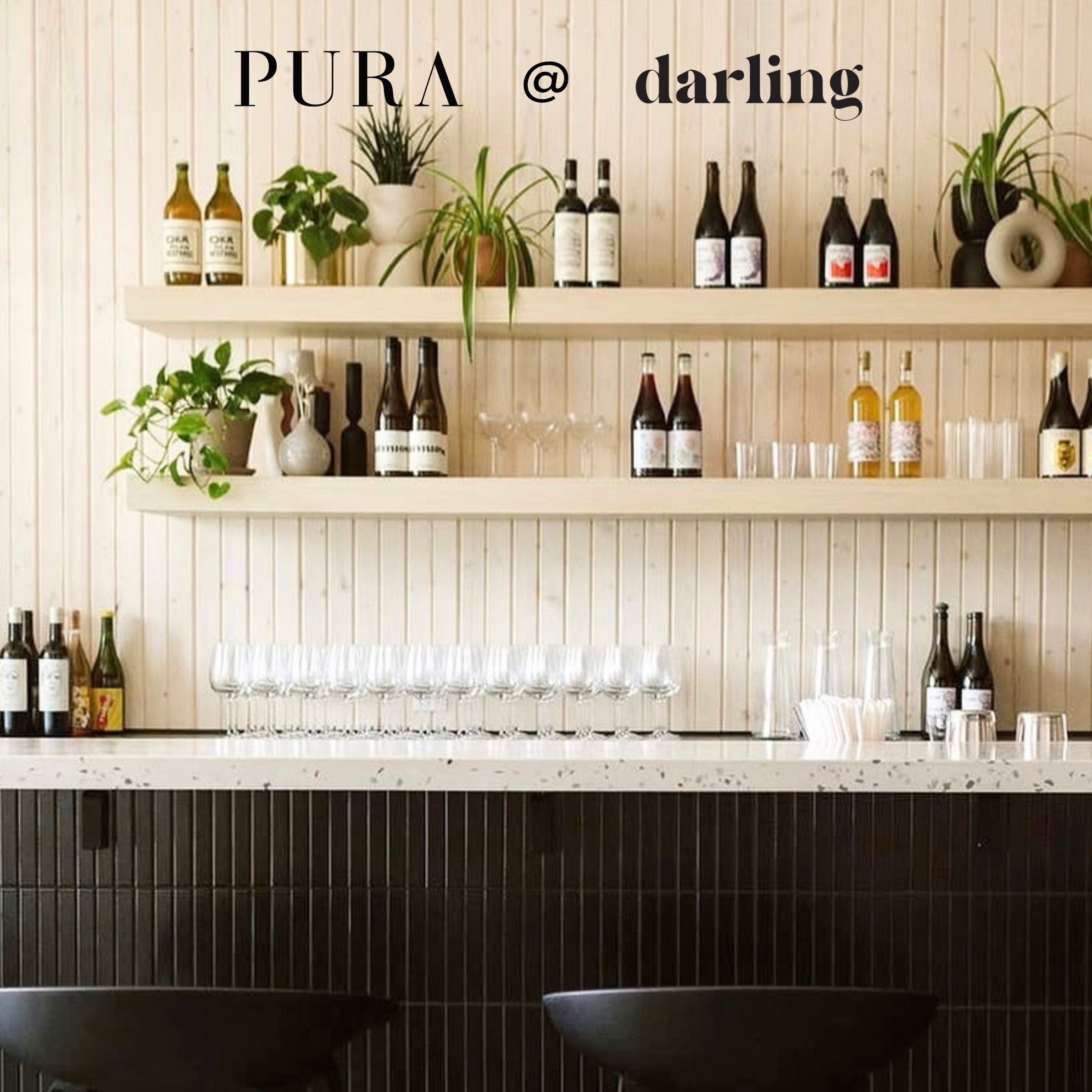 Darling_x_PURA.png