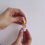 *NEW & ELEVATED* The Skincare Travel Kit